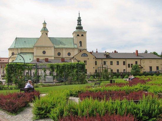 Bazylika Wniebowzięcia Najświętszej Marii Panny w Rzeszowie